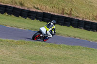 PJ-Motorsport-2019;anglesey-no-limits-trackday;anglesey-photographs;anglesey-trackday-photographs;enduro-digital-images;event-digital-images;eventdigitalimages;no-limits-trackdays;peter-wileman-photography;racing-digital-images;trac-mon;trackday-digital-images;trackday-photos;ty-croes